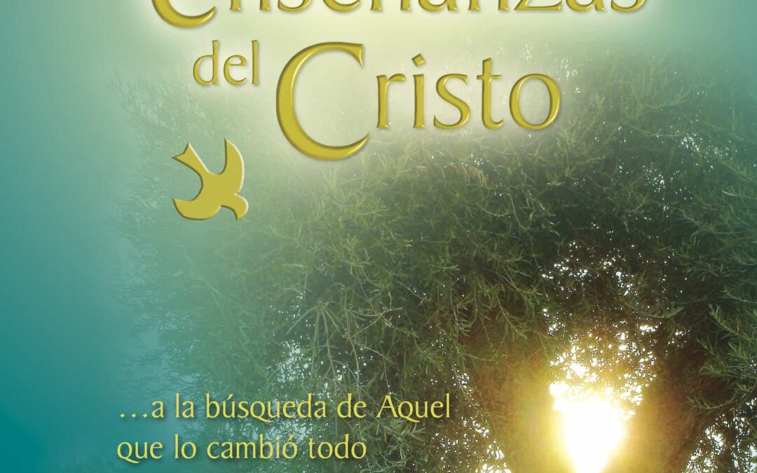 ¡ Sois amnesicos !