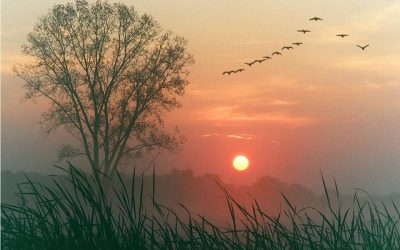 Lo que debe venir…